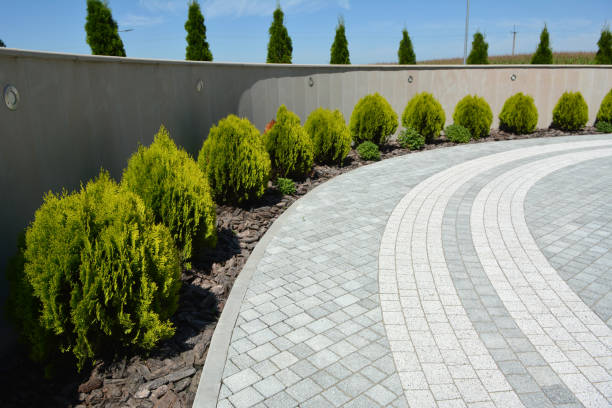 Best Driveway Pavers Near Me  in Carthage, MS